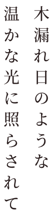木漏れ日のような温かな光に照らされて